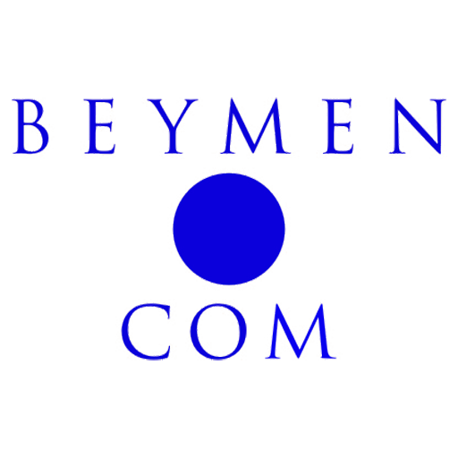 Logo 8
