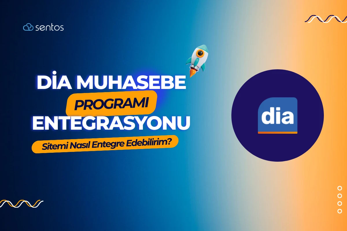 E-ticaret Sitemi DİA Muhasebe Programı ile Nasıl Entegre Edebilirim?