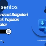 E-İhracat Belgeleri ve Yapılan Hatalar: Dikkat Etmeniz Gerekenler