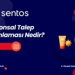Sezonsal Talep Planlaması: E-Ticarette Dalgayı Kaçırmamanın Yolu